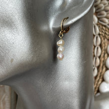 Load image into Gallery viewer, Amal Freshwater Pearl Huggie Dangle Earrings
