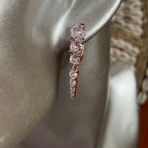 Sofiya Rose Gold Zircon Dangle Earrings